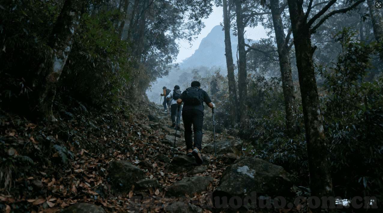 18世界杯巴西队合影-巴西队，荣耀与团结的见证——18世界杯合影背后的故事