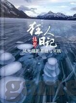 世界杯巴西对战瑞典-世界杯巴西对战瑞典，激情与策略的碰撞